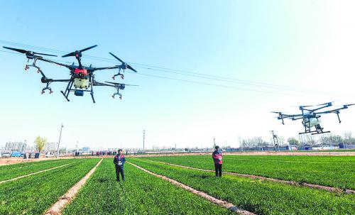 夏粮丰收在望 农业“压舱石”稳固——乡村振兴不断夯实经济社会发展根基