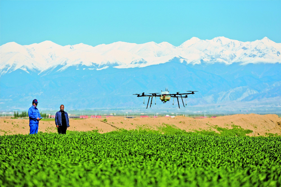 【坚决打赢脱贫攻坚战】无人机飞入农家田