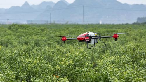 “咸飞”植保无人机服务产业走出去挣大钱