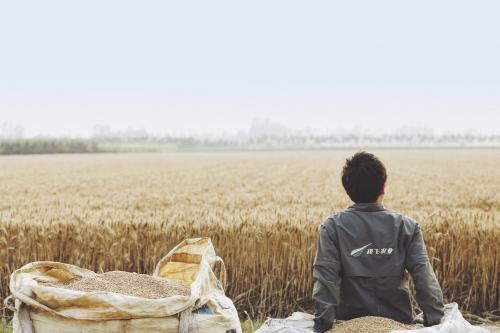 专访丨极飞科技龚槚钦：无人机AI解决方案让农业“无人化”