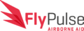 瑞典FlyPulse公司