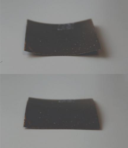 科学家受蜘蛛盅毛启发开发出传感器 可为无人机带来“蜘蛛感官”