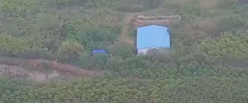 肥西：野外树林聚众赌博 警方无人机搜定