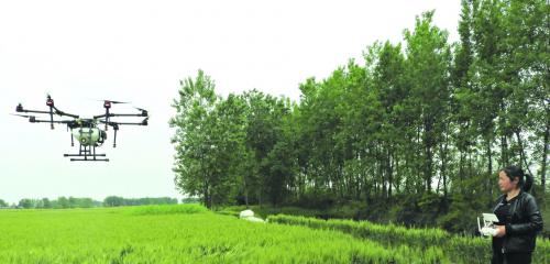 尖端设备服务农业看高邮农民治虫用上无人机