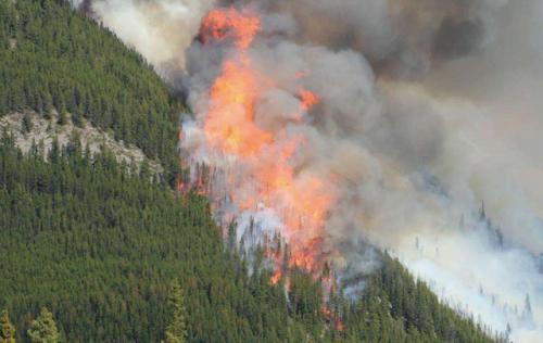 傲势引领国内无人机公共安全领域，加速建立起高效的公共安全“天空之眼”