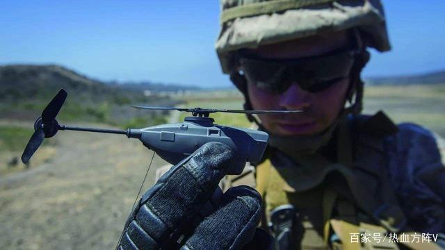 黑黄蜂无人机何以成为美法等国军方的“抢手货”？
