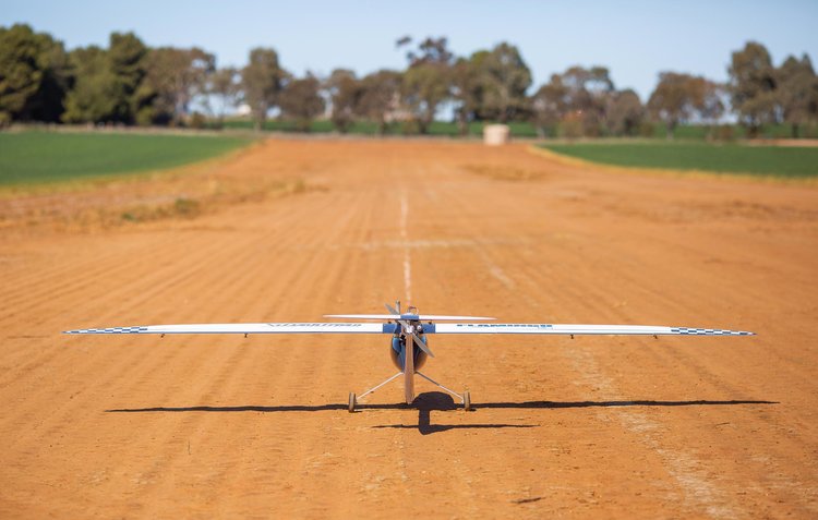 Silvertone火烈鸟® MK3