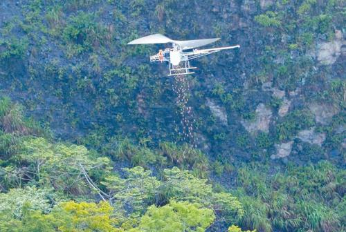 抢救崩塌地 无人机空投种子