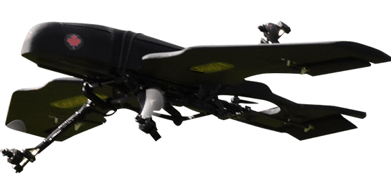 Coriolisg  VOGI-1