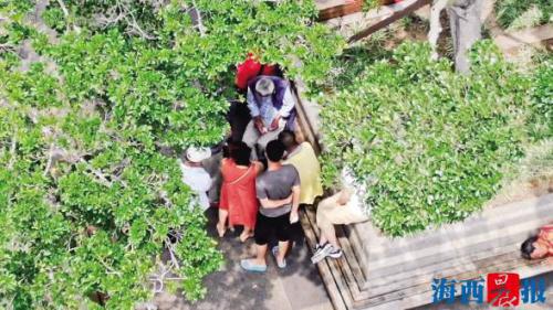 三架无人机“盯死”一窝赌徒 涉赌人的动作看得清清楚楚