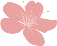 大埔高陂等乡镇山火过后，检察院出动无人机…… 