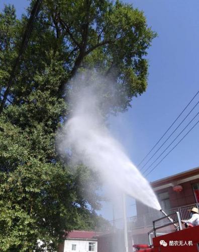无人机为千年古树除治虫害