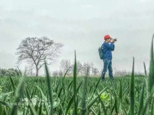 国网河南电力“天眼小子”组建空中指挥部 “无人机”加入电力检修