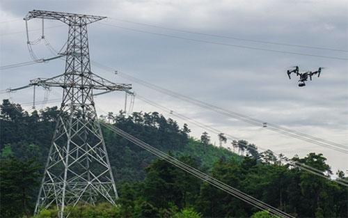 山东电力单次接收无人机289架 开启自动巡检新时代