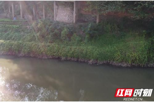 株洲石峰检察：无人机调查取证 保卫“生态蓝” 