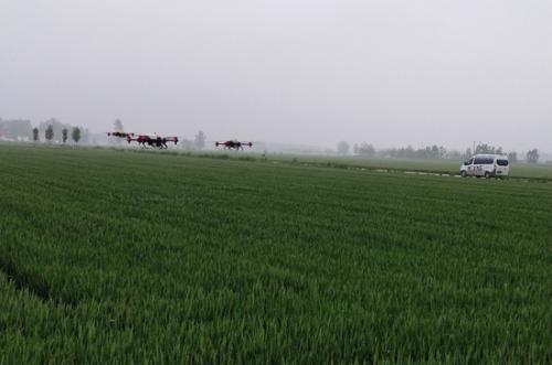 植保无人机助力小麦一喷三防