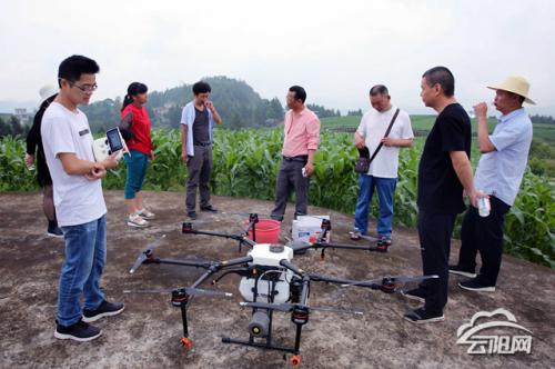云阳县启动无人机施药 控制草地贪夜蛾危害农作物