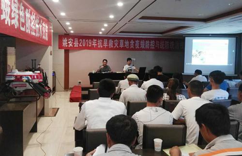 天鹰兄弟植保无人机助力姚安县草地贪夜蛾防控培训会