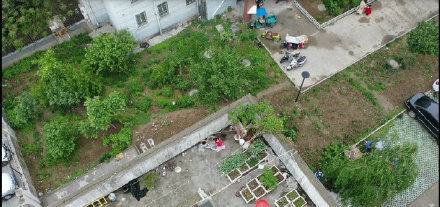 淮北民警用无人机搜索非法种植罂粟 一棵也不能留！