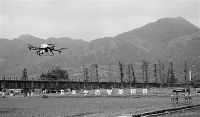 浙江首个5G智慧农业上线 机器人巡田无人机喷洒