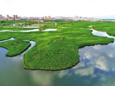 无人机航拍的甘肃张掖国家湿地公园