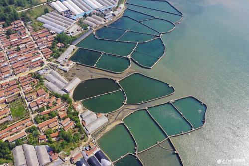 航拍青岛陈家贡湾美景 养殖池成“蓝绿宝石”