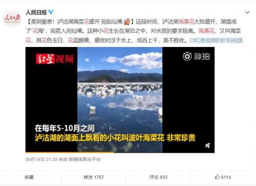 潜拍无人机鲛GLADIUS mini首次潜入泸沽湖湖底，摄制“成果”惊艳众人