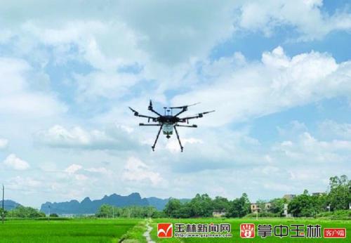 输电运维有了新技术 无人机三维激光扫描“上岗”