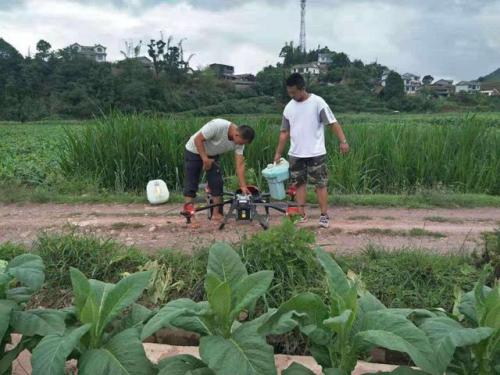 无人机“种”烟草，每天作业可达300亩 