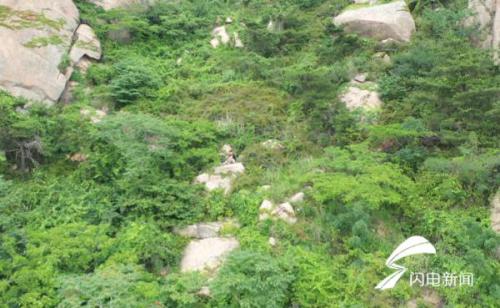 32秒 | 男子爬山脚崴被困 消防出动无人机定位搜寻 