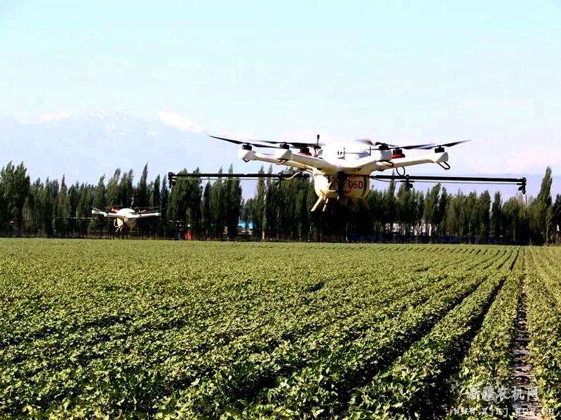 新疆生产建设兵团第5师第89团：无人机植保受欢迎 机械化管理棉苗壮 