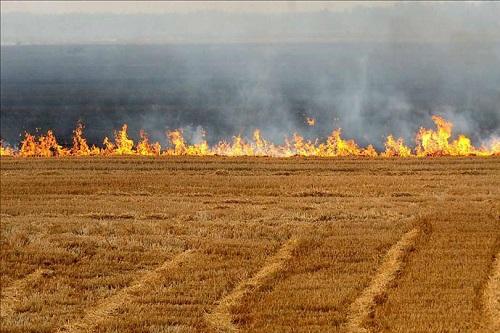 无人机空中监控秸秆禁烧