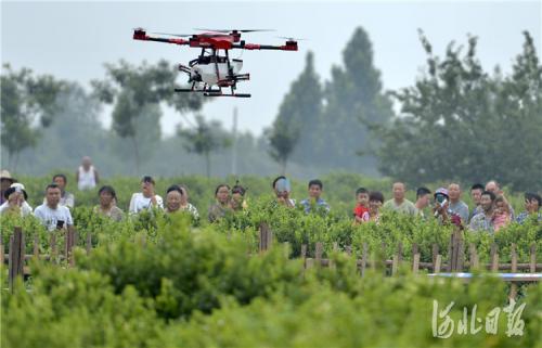中国植保无人机决赛在河北巨鹿举行