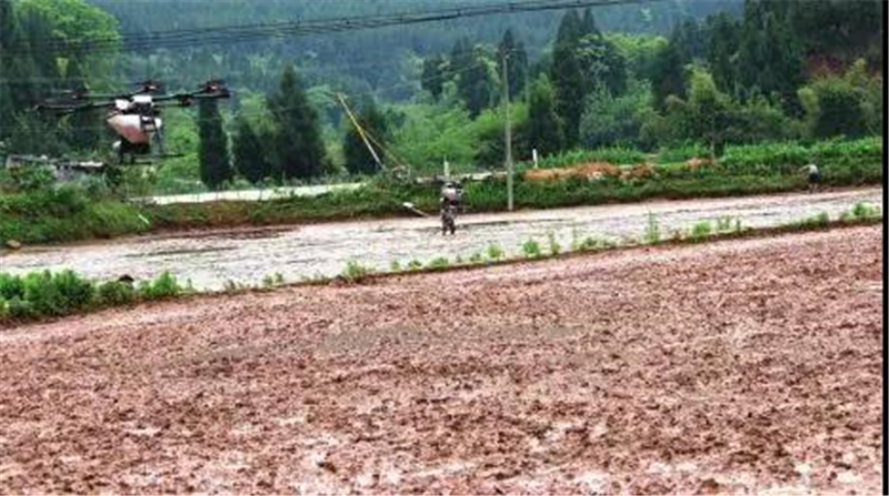 无人机植树系统，一天能种几万棵树。