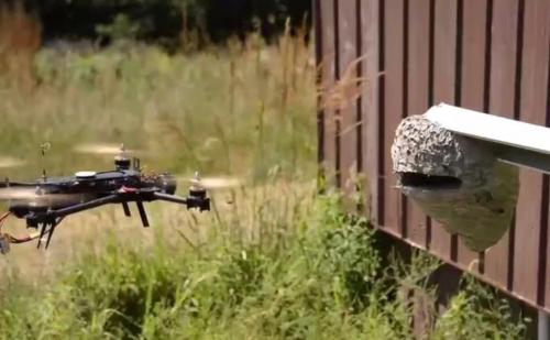 奇闻男子脑洞大开用无人机捅马蜂窝，最后画面实在残忍