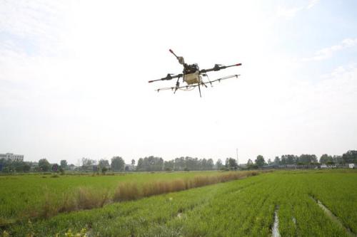 潢川县：“无人机”作业防治稻蓟马
