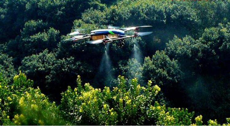 湖南用无人机评估林业有害生物防治成效