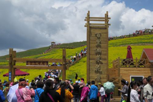 遇见最美油菜花海 就在“瞰见门源”首届无人机航拍大赛！