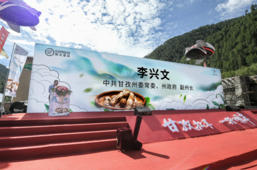 百架无人机助力松茸出山 顺丰携手甘孜政府助推松茸产业升级