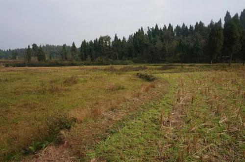 助力农业转型升级，无人机有这5大用途，你知道吗？