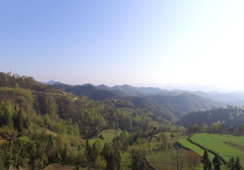 农村小伙用大疆无人机航拍山顶上的村庄，看完发现几只孤单的狗