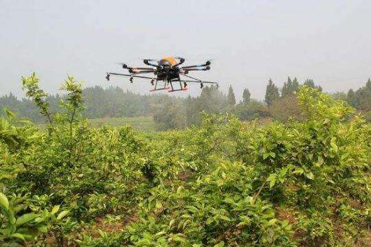 无人机提高种植效率，助力现代化苹果种植
