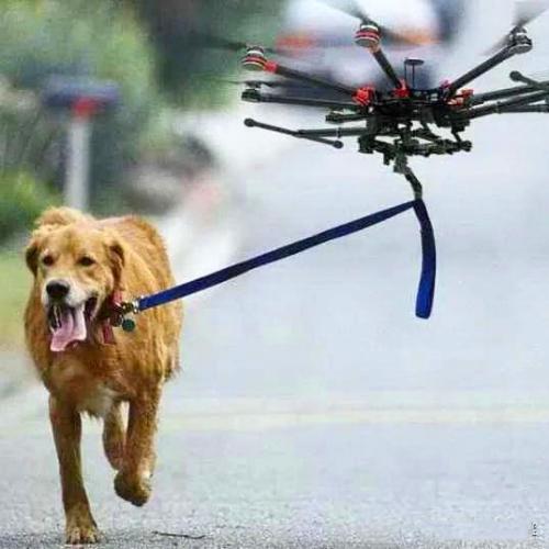 一组罕见的图片；无人机是会飞的照相机、银河系新星图 