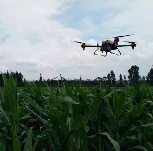 陆良这个村用无人机喷洒农药 是你们村吗？ 