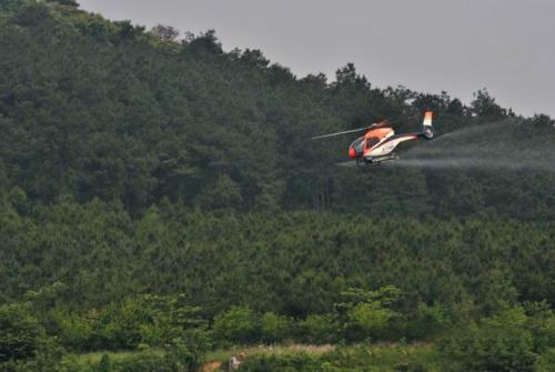 宝鸡市首次使用无人机监测普查松材线虫病