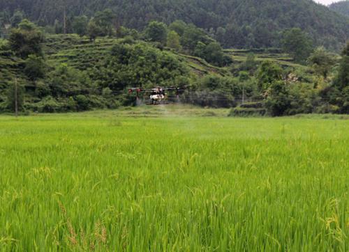 无人机飞防 助力农业高质量发展