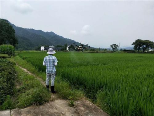 商山镇：“植保无人机”提高病虫害防治效率