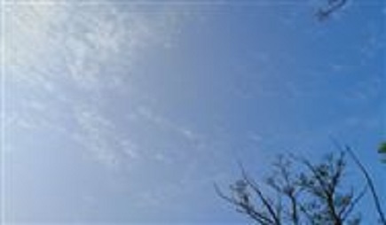 2019上半年新品速递，植保无人机行业再添活力！ 