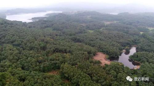 【中央环保督察进行时】“无人机+检察”助力澄迈县检察院保卫“绿水青山” 