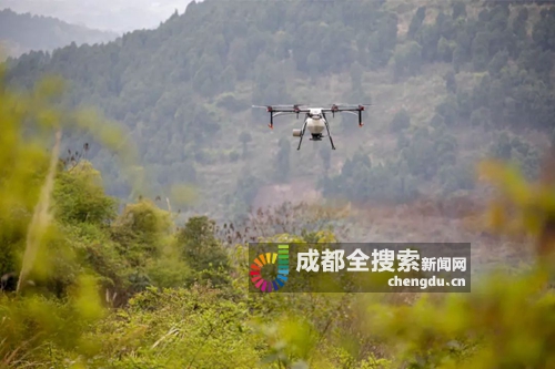 让公园城市更“绿” 成都率先采用无人机飞播精准造林